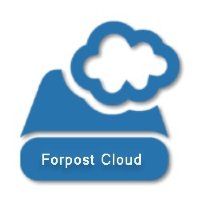(УСТАРЕЛО)Программное обеспечение Форпост от 26 до 99 камер, 1 месяц премиальной  тех.поддержки, 1 канал